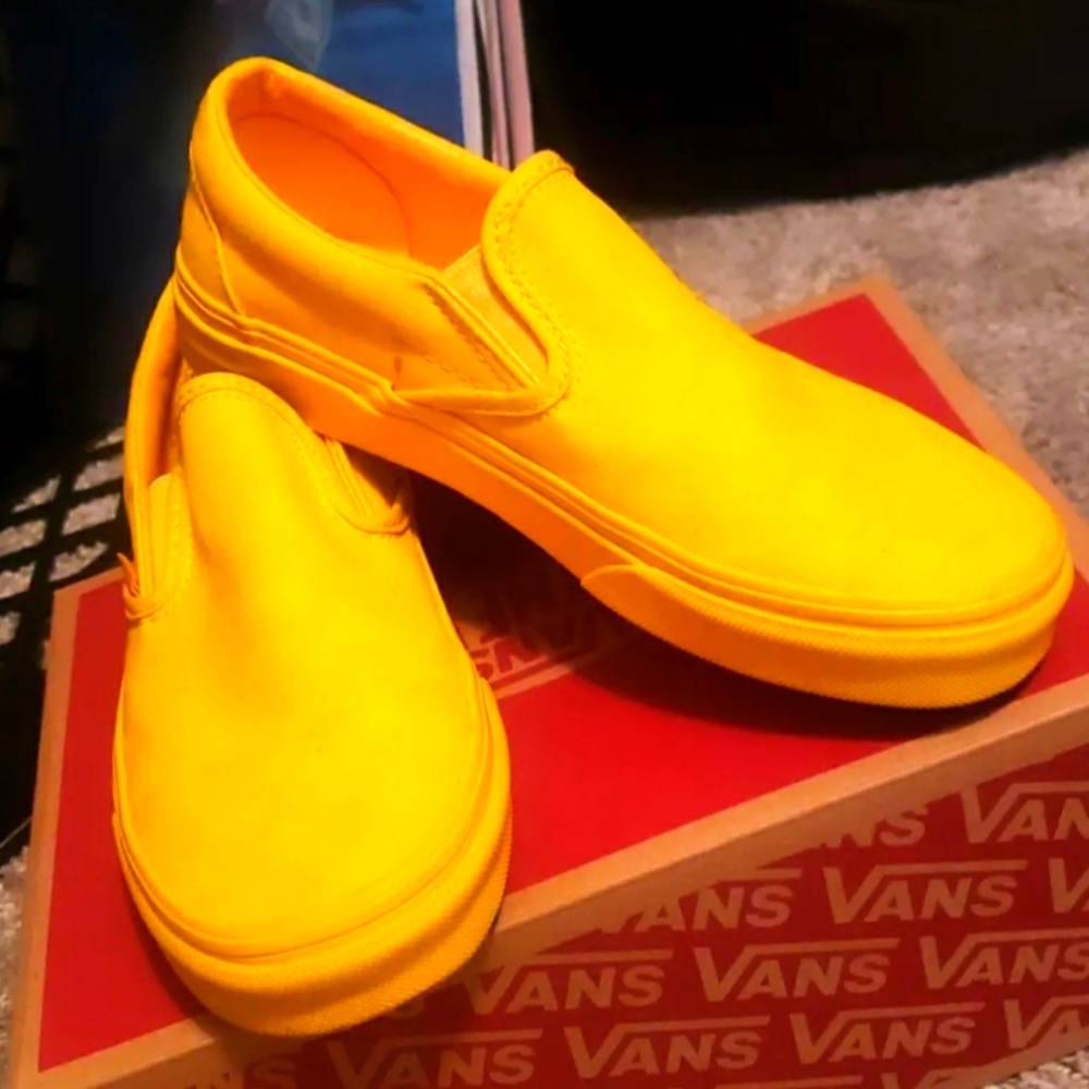 Vans Unisex Skate Shoes